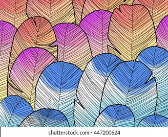 Colorful feathers hand drawn
