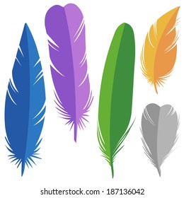 colorful feathers. Hand drawn vector illustration