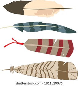colorful feathers isolated file in white background
