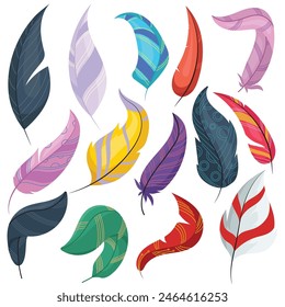 Colorful Feathers Pack Flat Vector Illustration