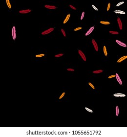 Colorful feathers. Prints of Colored feathers Design for Goods for Pets. Simple Pattern for Print, Logo or Poster. Vector Confetti Background.
