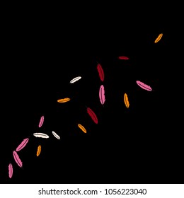Colorful feathers. Prints of Colored feathers Design for Goods for Pets. Simple Pattern for Print, Logo or Poster. Vector Confetti Background.
