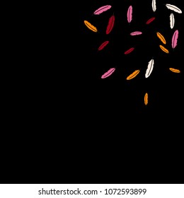 Colorful feathers. Prints of Colored feathers Design for Goods for Pets. Simple Pattern for Print, Logo or Poster. Vector Confetti Background.
