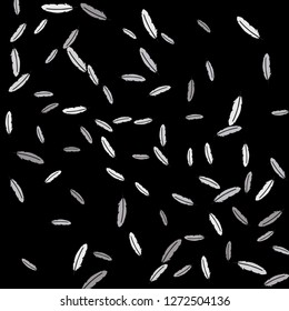 Colorful feathers. Prints of Colored feathers Design for Goods for Pets. Simple Pattern for Print, Logo or Poster. Vector Confetti Background.
