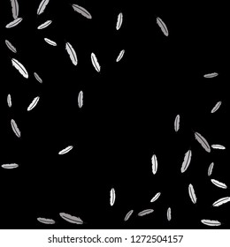 Colorful feathers. Prints of Colored feathers Design for Goods for Pets. Simple Pattern for Print, Logo or Poster. Vector Confetti Background.
