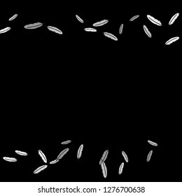 Colorful feathers. Prints of Colored feathers Design for Goods for Pets. Simple Pattern for Print, Logo or Poster. Vector Confetti Background.
