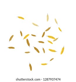 Colorful feathers. Prints of Colored feathers Design for Goods for Pets. Simple Pattern for Print, Logo or Poster. Vector Confetti Background.
