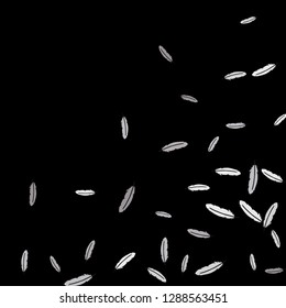 Colorful feathers. Prints of Colored feathers Design for Goods for Pets. Simple Pattern for Print, Logo or Poster. Vector Confetti Background.
