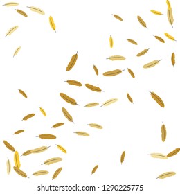 Colorful feathers. Prints of Colored feathers Design for Goods for Pets. Simple Pattern for Print, Logo or Poster. Vector Confetti Background.
