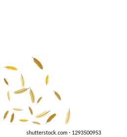 Colorful feathers. Prints of Colored feathers Design for Goods for Pets. Simple Pattern for Print, Logo or Poster. Vector Confetti Background.
