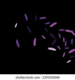 Colorful feathers. Prints of Colored feathers Design for Goods for Pets. Simple Pattern for Print, Logo or Poster. Vector Confetti Background.
