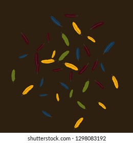 Colorful feathers. Prints of Colored feathers Design for Goods for Pets. Simple Pattern for Print, Logo or Poster. Vector Confetti Background.
