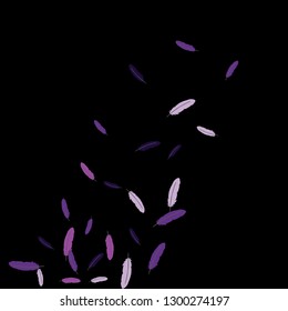 Colorful feathers. Prints of Colored feathers Design for Goods for Pets. Simple Pattern for Print, Logo or Poster. Vector Confetti Background.
