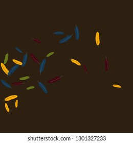 Colorful feathers. Prints of Colored feathers Design for Goods for Pets. Simple Pattern for Print, Logo or Poster. Vector Confetti Background.
