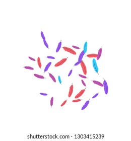 Colorful feathers. Prints of Colored feathers Design for Goods for Pets. Simple Pattern for Print, Logo or Poster. Vector Confetti Background.
