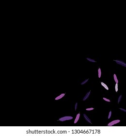 Colorful feathers. Prints of Colored feathers Design for Goods for Pets. Simple Pattern for Print, Logo or Poster. Vector Confetti Background.

