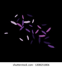 Colorful feathers. Prints of Colored feathers Design for Goods for Pets. Simple Pattern for Print, Logo or Poster. Vector Confetti Background.
