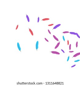 Colorful feathers. Prints of Colored feathers Design for Goods for Pets. Simple Pattern for Print, Logo or Poster. Vector Confetti Background.
