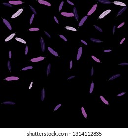 Colorful feathers. Prints of Colored feathers Design for Goods for Pets. Simple Pattern for Print, Logo or Poster. Vector Confetti Background.
