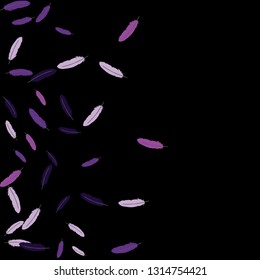 Colorful feathers. Prints of Colored feathers Design for Goods for Pets. Simple Pattern for Print, Logo or Poster. Vector Confetti Background.
