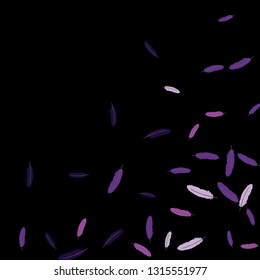 Colorful feathers. Prints of Colored feathers Design for Goods for Pets. Simple Pattern for Print, Logo or Poster. Vector Confetti Background.
