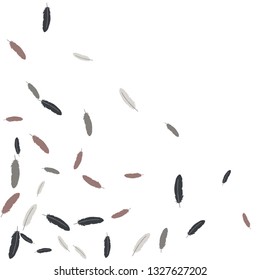 Colorful feathers. Prints of Colored feathers Design for Goods for Pets. Simple Pattern for Print, Logo or Poster. Vector Confetti Background.
