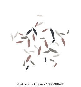 Colorful feathers. Prints of Colored feathers Design for Goods for Pets. Simple Pattern for Print, Logo or Poster. Vector Confetti Background.

