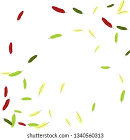 Colorful feathers. Prints of Colored feathers Design for Goods for Pets. Simple Pattern for Print, Logo or Poster. Vector Confetti Background.
