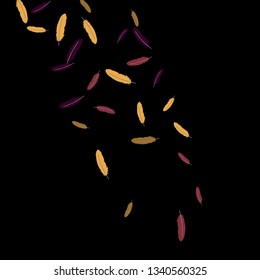 Colorful feathers. Prints of Colored feathers Design for Goods for Pets. Simple Pattern for Print, Logo or Poster. Vector Confetti Background.
