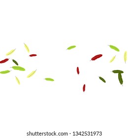 Colorful feathers. Prints of Colored feathers Design for Goods for Pets. Simple Pattern for Print, Logo or Poster. Vector Confetti Background.
