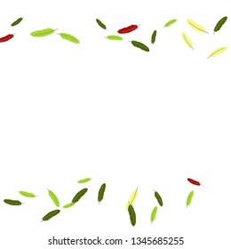 Colorful feathers. Prints of Colored feathers Design for Goods for Pets. Simple Pattern for Print, Logo or Poster. Vector Confetti Background.
