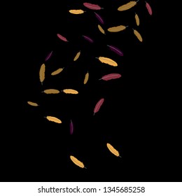 Colorful feathers. Prints of Colored feathers Design for Goods for Pets. Simple Pattern for Print, Logo or Poster. Vector Confetti Background.
