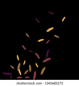 Colorful feathers. Prints of Colored feathers Design for Goods for Pets. Simple Pattern for Print, Logo or Poster. Vector Confetti Background.
