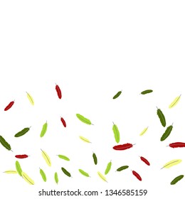 Colorful feathers. Prints of Colored feathers Design for Goods for Pets. Simple Pattern for Print, Logo or Poster. Vector Confetti Background.