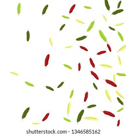 Colorful feathers. Prints of Colored feathers Design for Goods for Pets. Simple Pattern for Print, Logo or Poster. Vector Confetti Background.