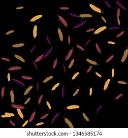 Colorful feathers. Prints of Colored feathers Design for Goods for Pets. Simple Pattern for Print, Logo or Poster. Vector Confetti Background.