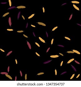 Colorful feathers. Prints of Colored feathers Design for Goods for Pets. Simple Pattern for Print, Logo or Poster. Vector Confetti Background.