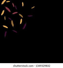Colorful feathers. Prints of Colored feathers Design for Goods for Pets. Simple Pattern for Print, Logo or Poster. Vector Confetti Background.