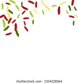 Colorful feathers. Prints of Colored feathers Design for Goods for Pets. Simple Pattern for Print, Logo or Poster. Vector Confetti Background.

