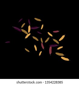 Colorful feathers. Prints of Colored feathers Design for Goods for Pets. Simple Pattern for Print, Logo or Poster. Vector Confetti Background.
