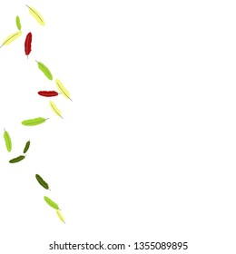 Colorful feathers. Prints of Colored feathers Design for Goods for Pets. Simple Pattern for Print, Logo or Poster. Vector Confetti Background.
