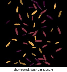 Colorful feathers. Prints of Colored feathers Design for Goods for Pets. Simple Pattern for Print, Logo or Poster. Vector Confetti Background.
