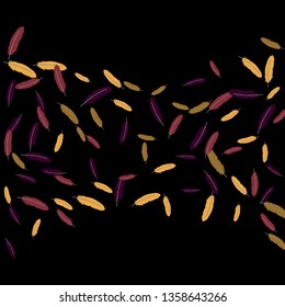 Colorful feathers. Prints of Colored feathers Design for Goods for Pets. Simple Pattern for Print, Logo or Poster. Vector Confetti Background.
