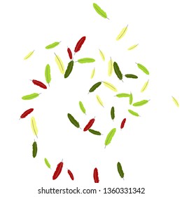 Colorful feathers. Prints of Colored feathers Design for Goods for Pets. Simple Pattern for Print, Logo or Poster. Vector Confetti Background.

