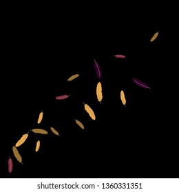 Colorful feathers. Prints of Colored feathers Design for Goods for Pets. Simple Pattern for Print, Logo or Poster. Vector Confetti Background.
