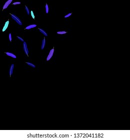 Colorful feathers. Prints of Colored feathers Design for Goods for Pets. Simple Pattern for Print, Logo or Poster. Vector Confetti Background.
