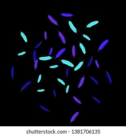 Colorful feathers. Prints of Colored feathers Design for Goods for Pets. Simple Pattern for Print, Logo or Poster. Vector Confetti Background.
