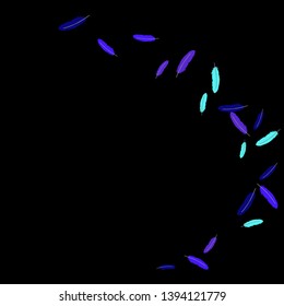Colorful feathers. Prints of Colored feathers Design for Goods for Pets. Simple Pattern for Print, Logo or Poster. Vector Confetti Background.
