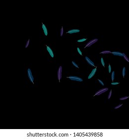 Colorful feathers. Prints of Colored feathers Design for Goods for Pets. Simple Pattern for Print, Logo or Poster. Vector Confetti Background.
