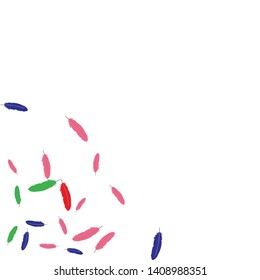Colorful feathers. Prints of Colored feathers Design for Goods for Pets. Simple Pattern for Print, Logo or Poster. Vector Confetti Background.
